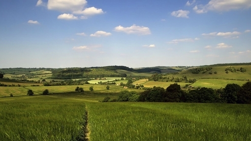 Buckinghamshire Hills