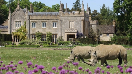 Cotswold Wildlife Park