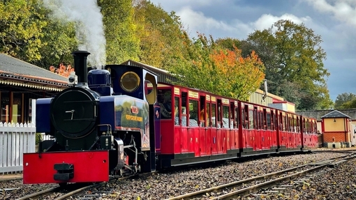  Perrygrove Railway & Treetop Adventure