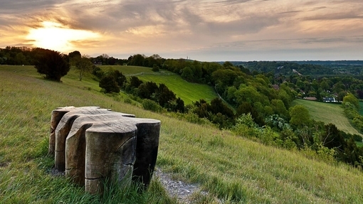 Surrey