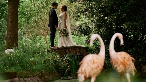 Weddings at De Vere Cranage Estate