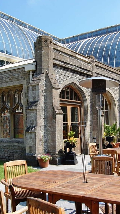 elegant dining