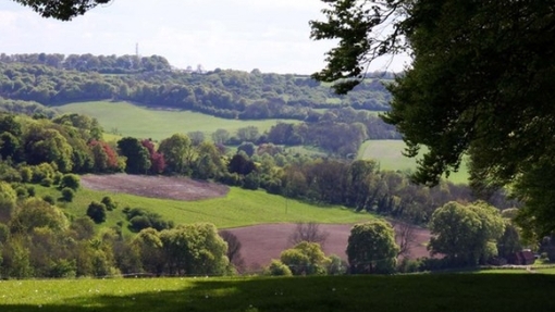 Watlington Hill