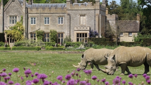 Cotswold Wildlife Park offer at De Vere Cotswold Water Park