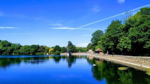 Coate water country park