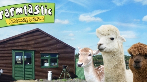 Farmtastic animal farm