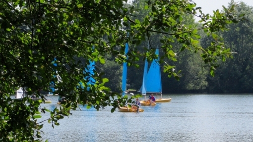 Rickmansworth Aquadrome Nature Reserve