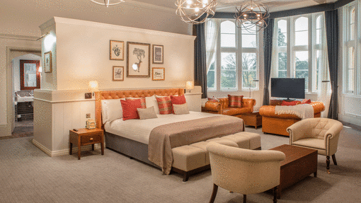 Suite offer GIF
