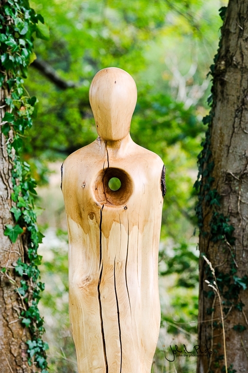 Ed Elliott 'Hole wood original' sculpture